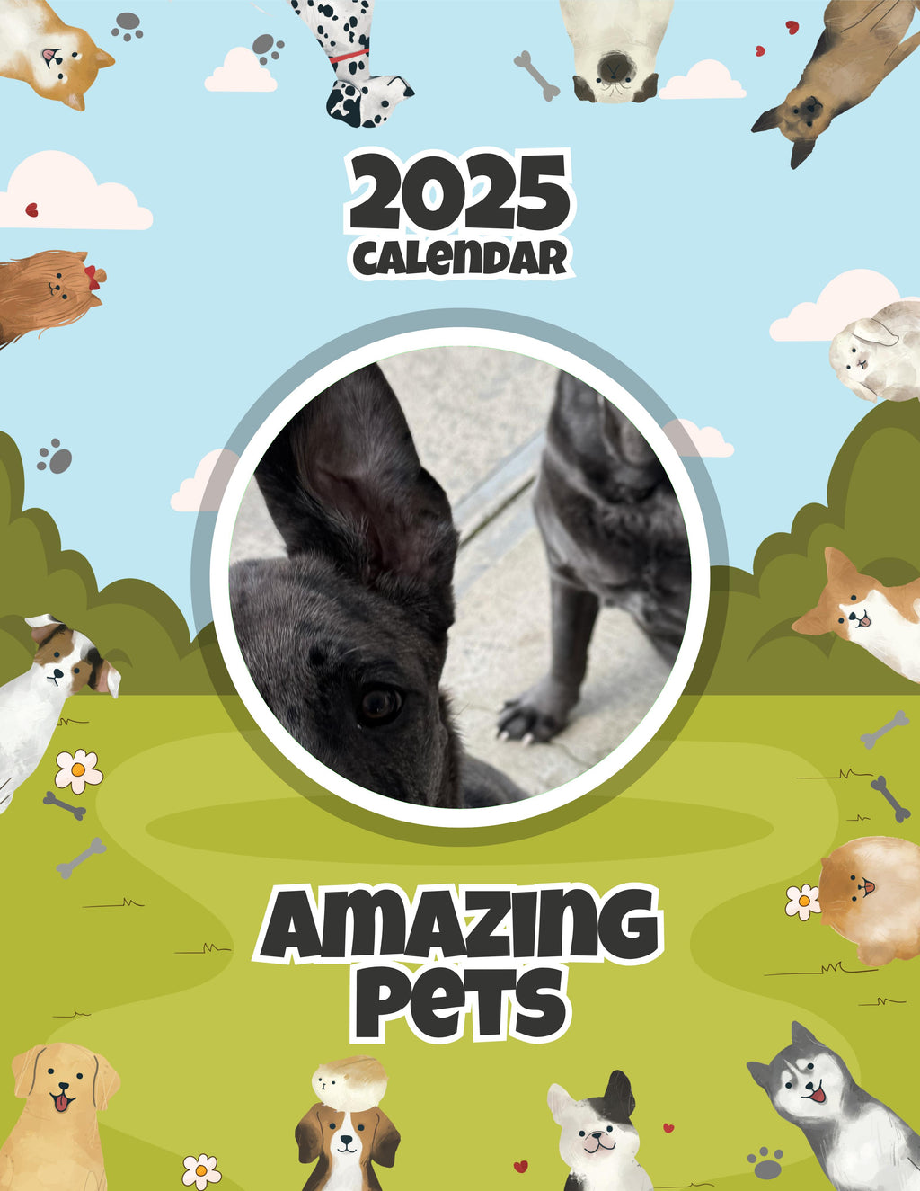 Amazing Pets: 2025 Wall Calendar (Pre-Order)