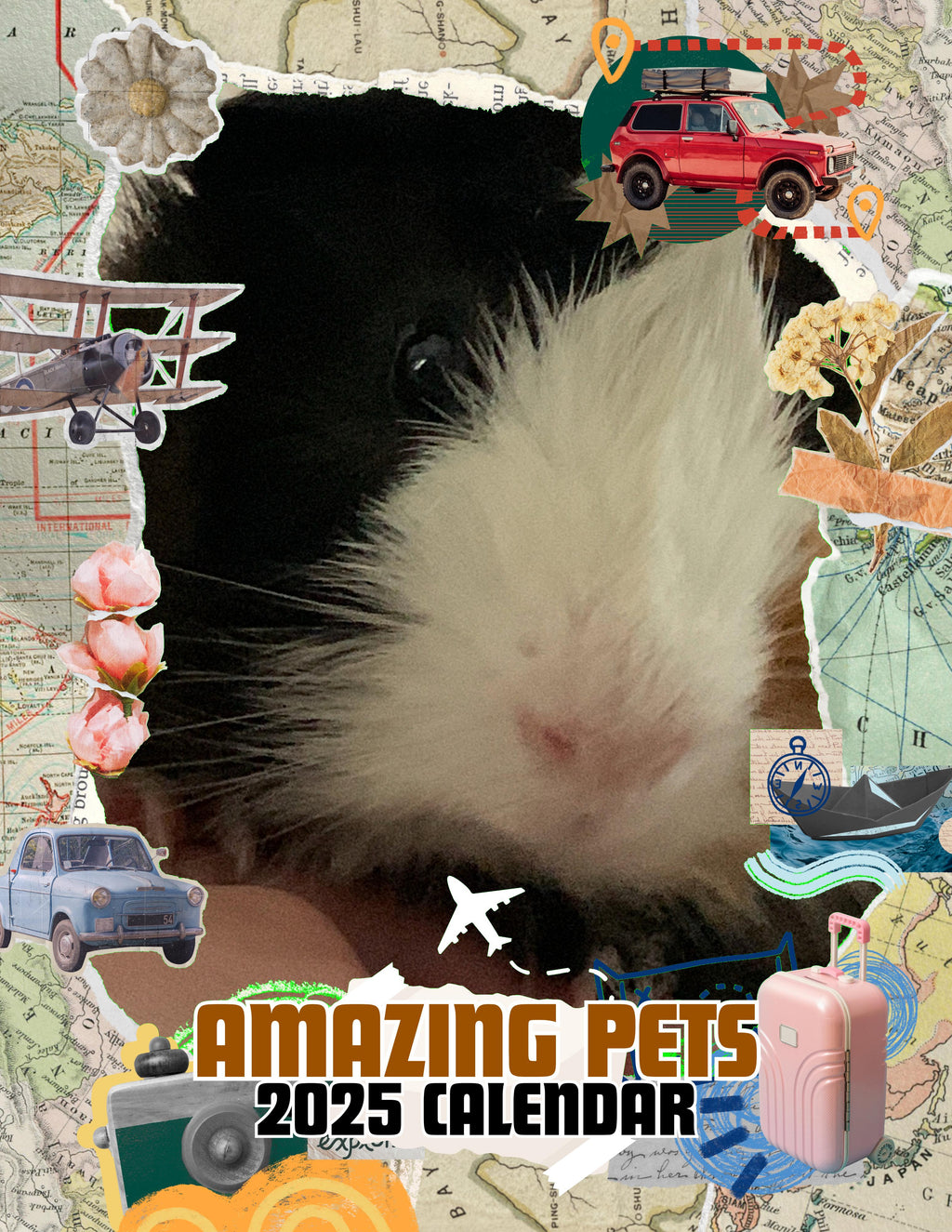 Amazing Pets: 2025 Wall Calendar (Pre-Order)