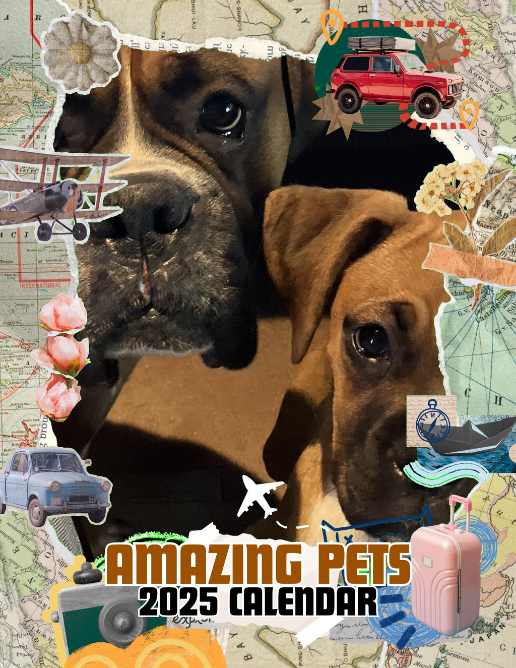 Amazing Pets: 2025 Wall Calendar (Pre-Order)