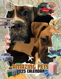 Amazing Pets: 2025 Wall Calendar (Pre-Order)