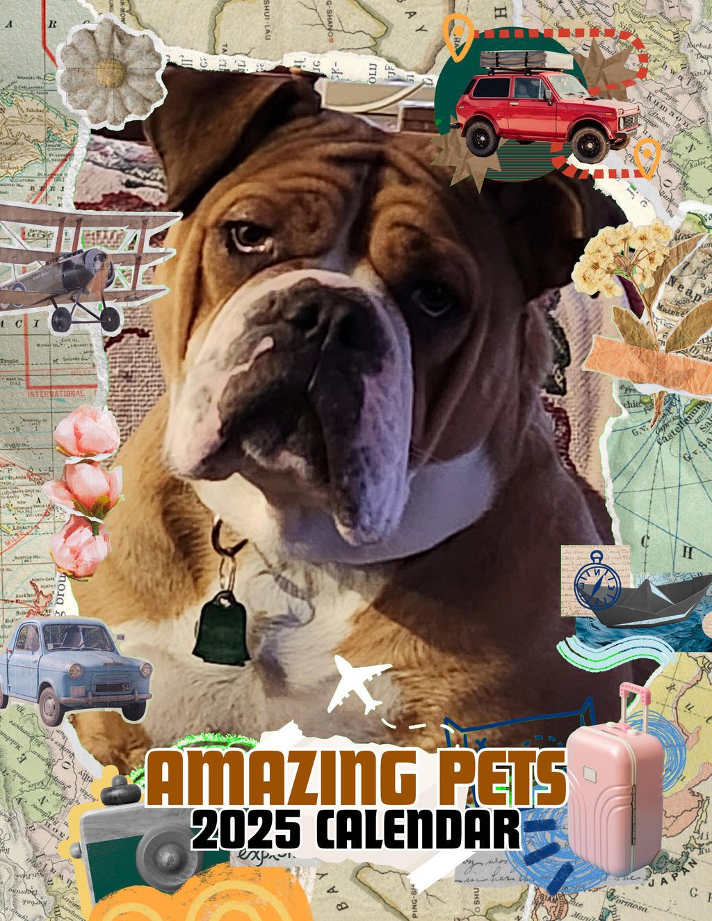 Amazing Pets: 2025 Wall Calendar (Pre-Order)