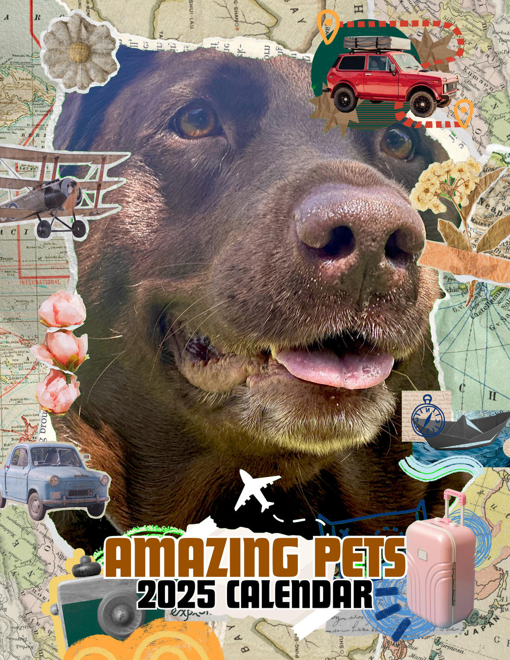 Amazing Pets: 2025 Wall Calendar (Pre-Order)