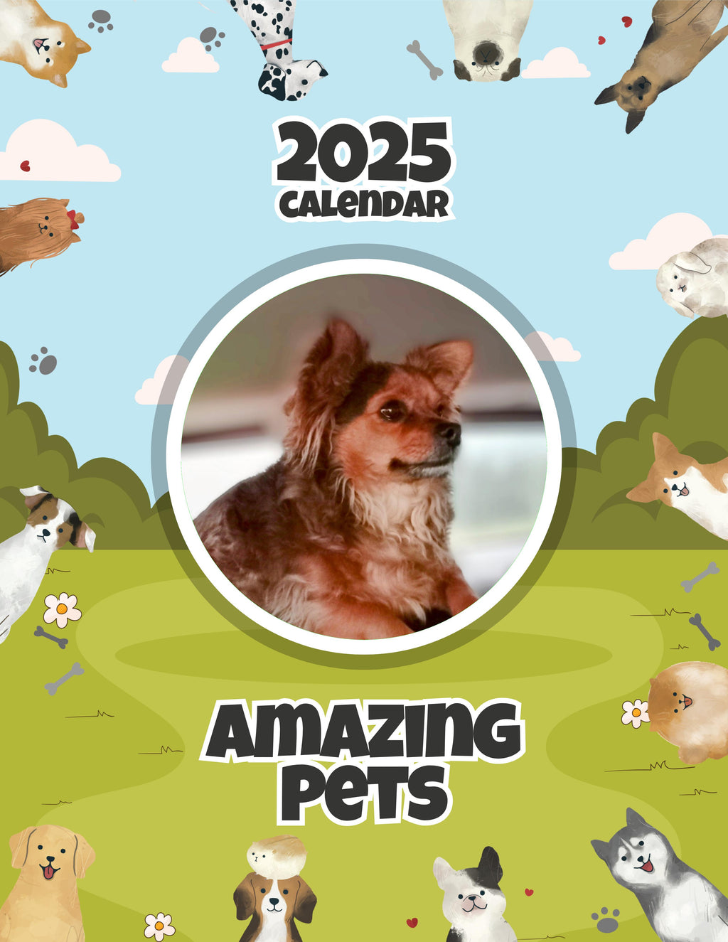 Amazing Pets: 2025 Wall Calendar (Pre-Order)