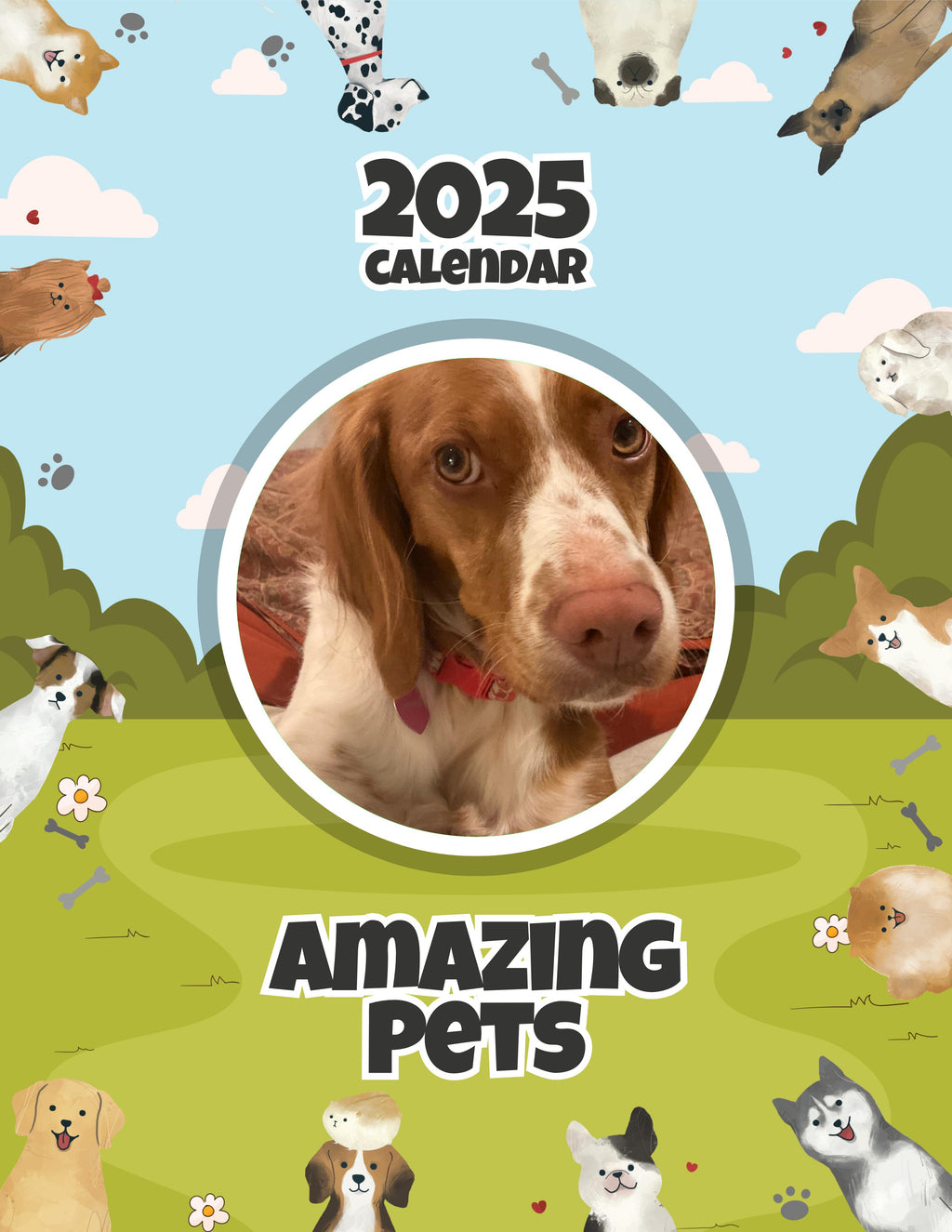 Amazing Pets: 2025 Wall Calendar (Pre-Order)