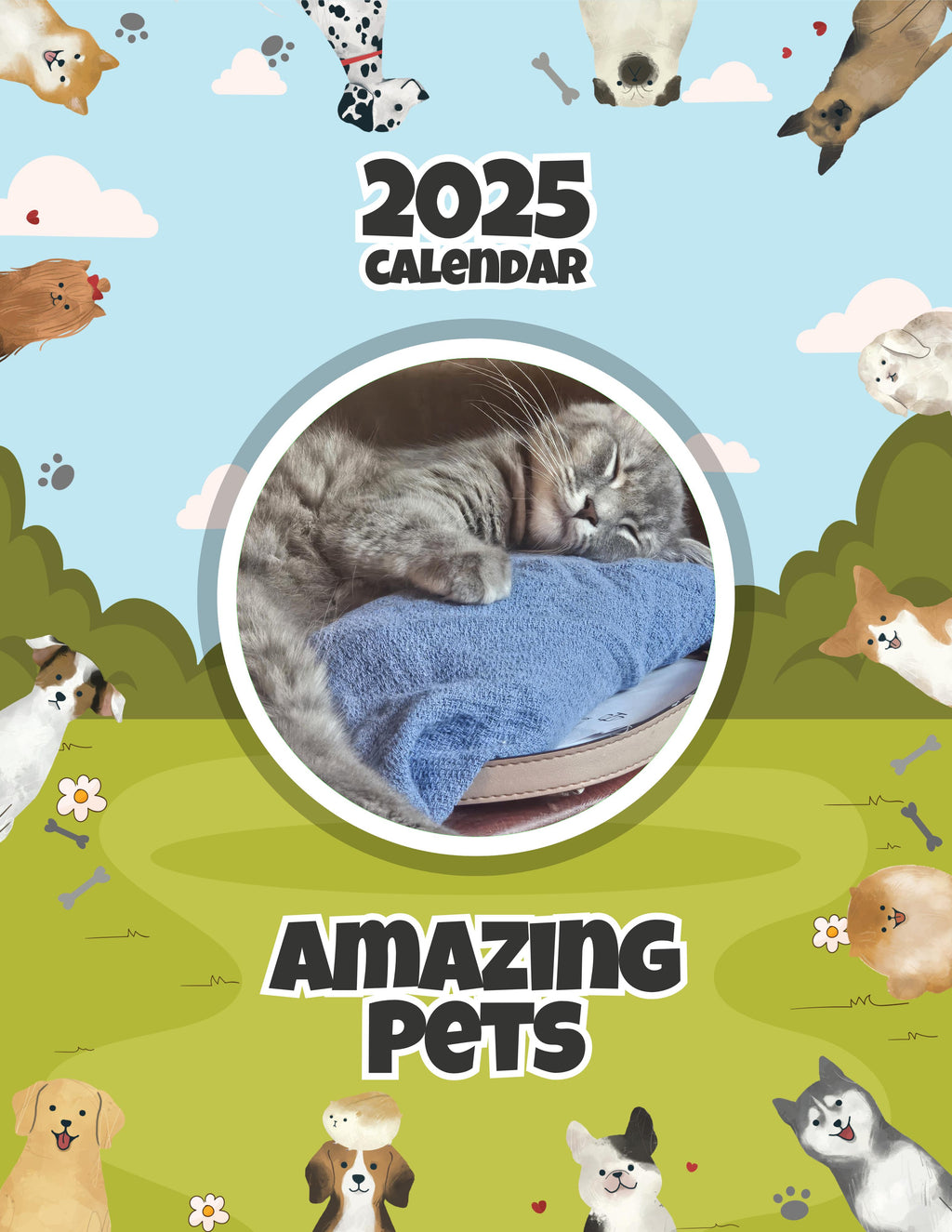 Amazing Pets: 2025 Wall Calendar (Pre-Order)