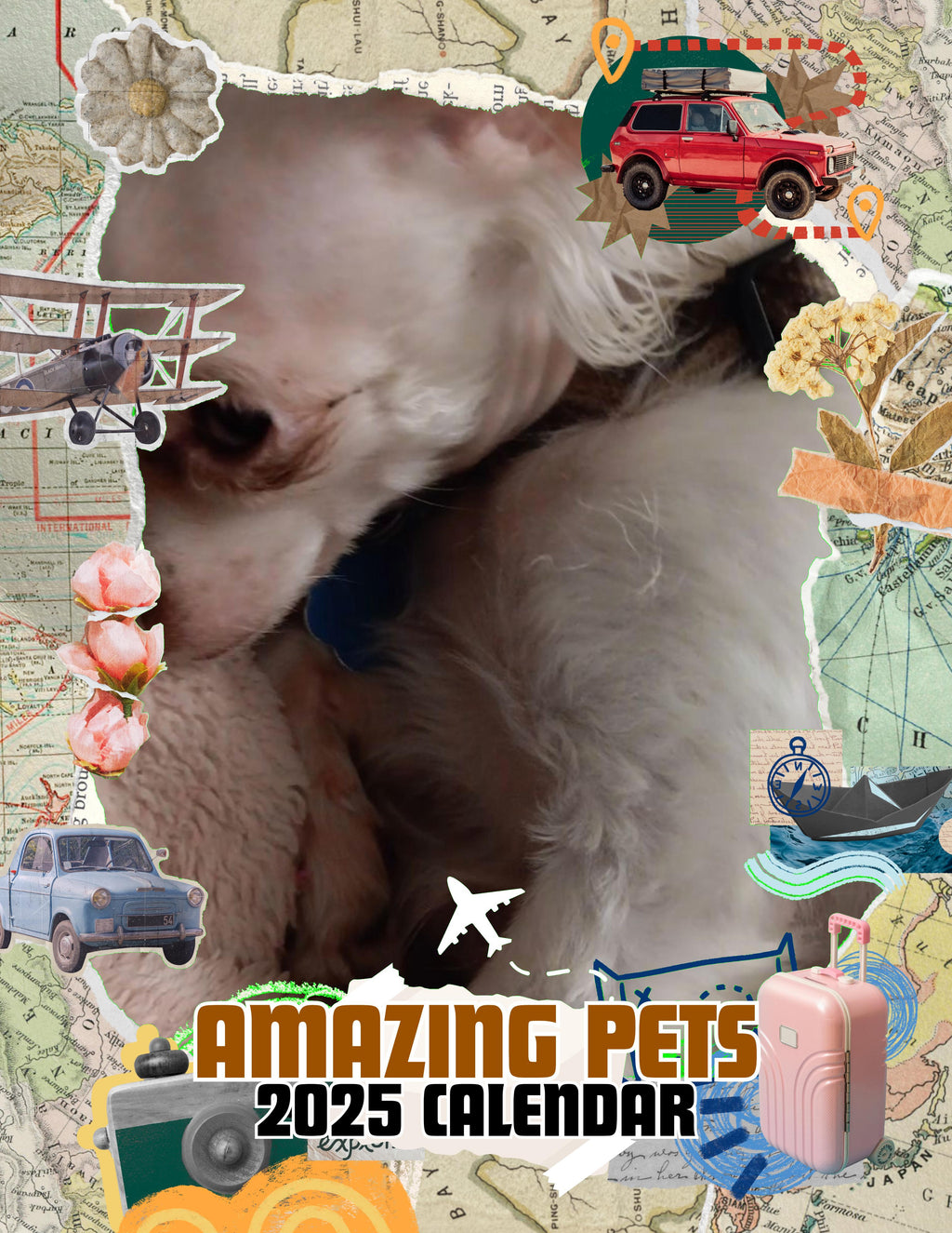 Amazing Pets: 2025 Wall Calendar (Pre-Order)