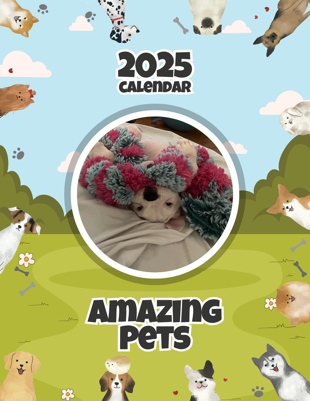 Amazing Pets: 2025 Wall Calendar (Pre-Order)