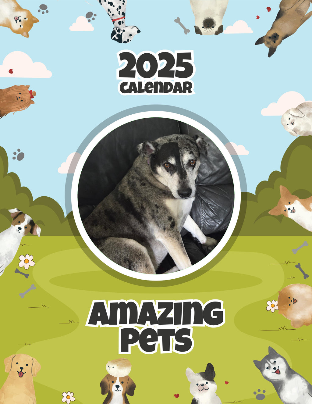 Amazing Pets: 2025 Wall Calendar (Pre-Order)