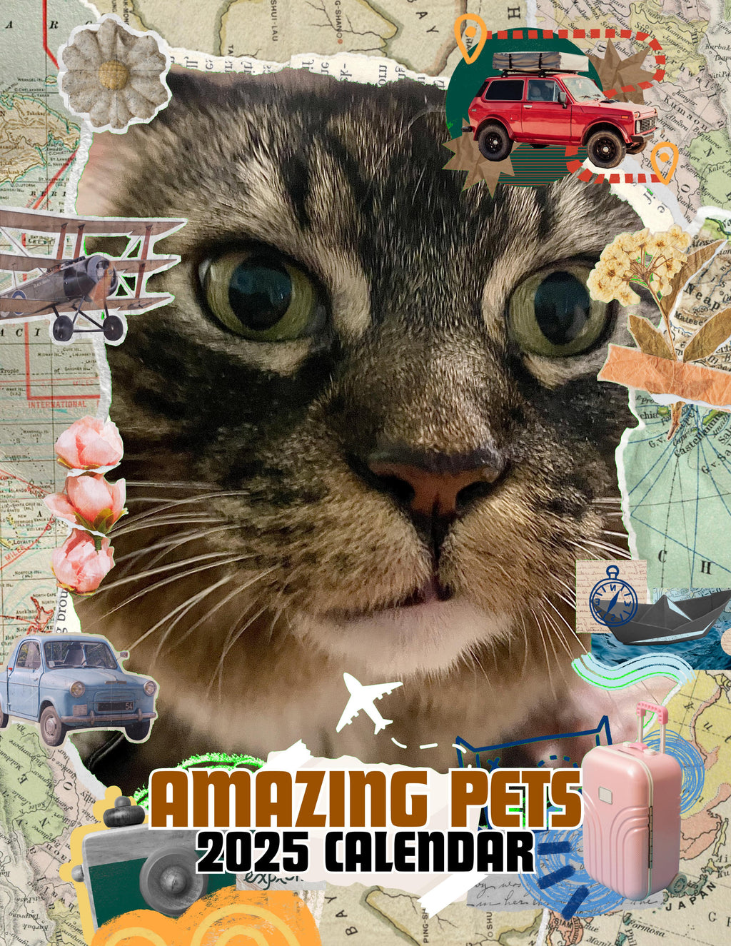 Amazing Pets: 2025 Wall Calendar (Pre-Order)