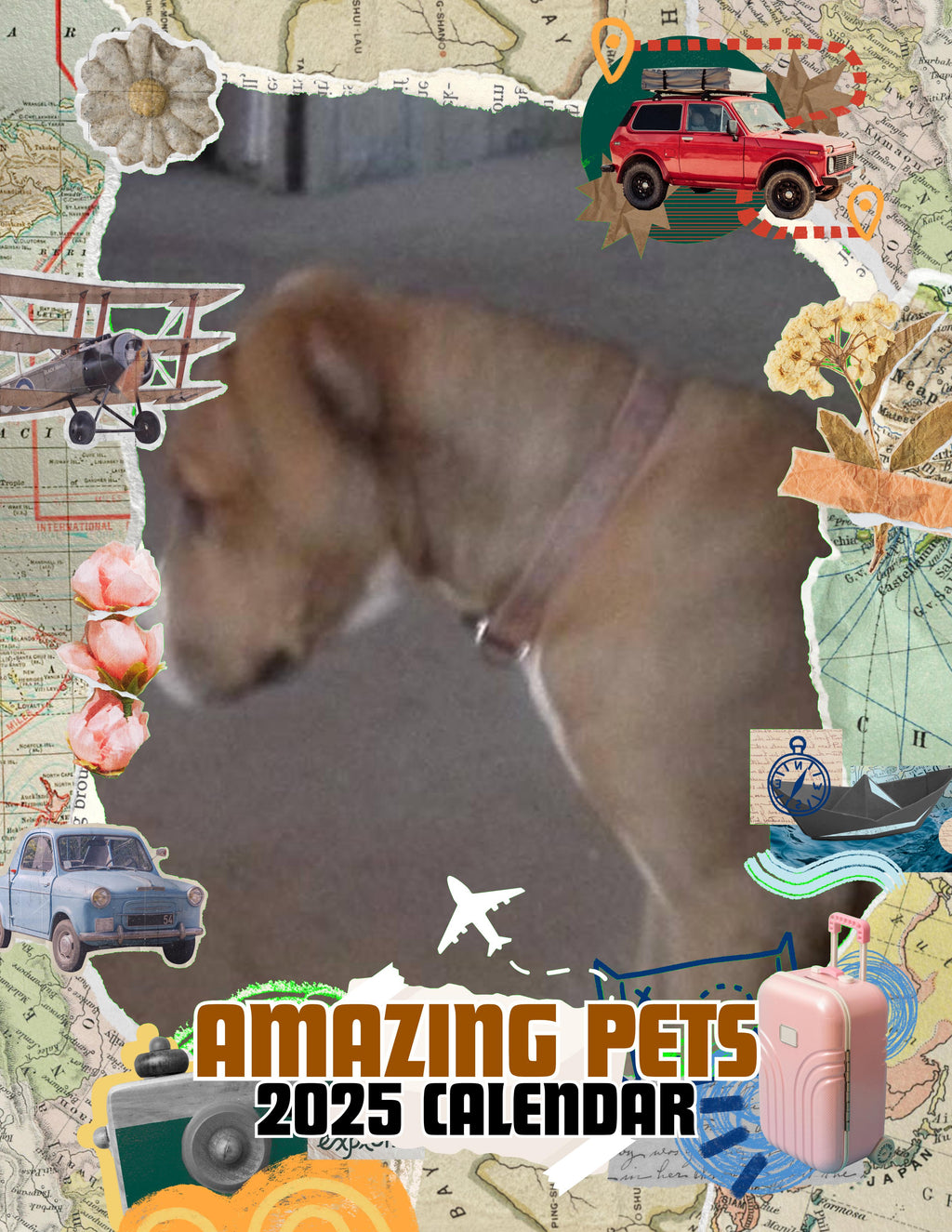 Amazing Pets: 2025 Wall Calendar (Pre-Order)
