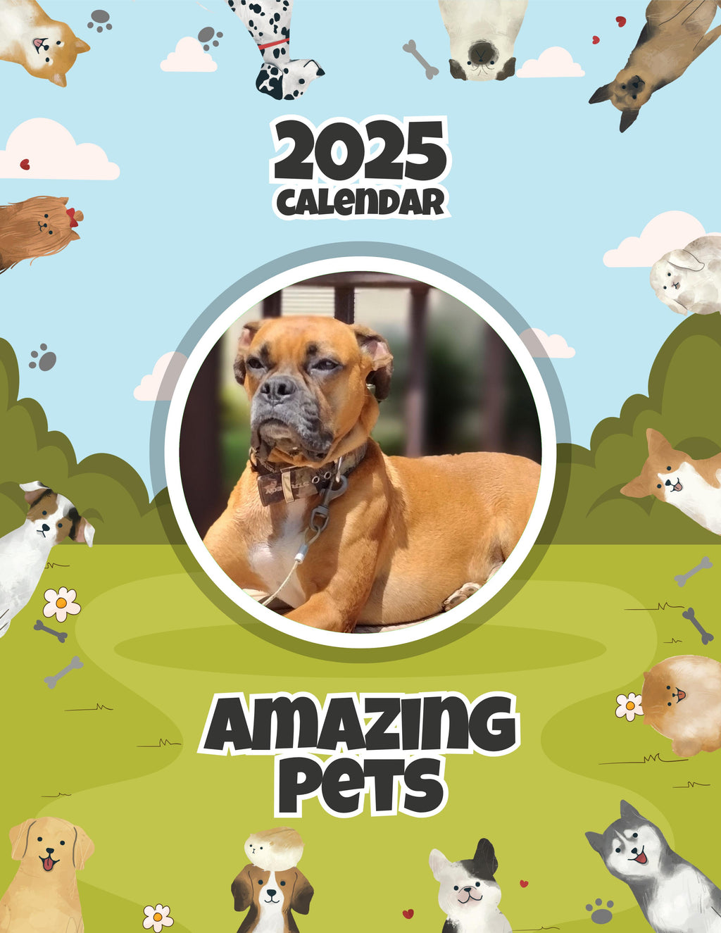 Amazing Pets: 2025 Wall Calendar (Pre-Order)