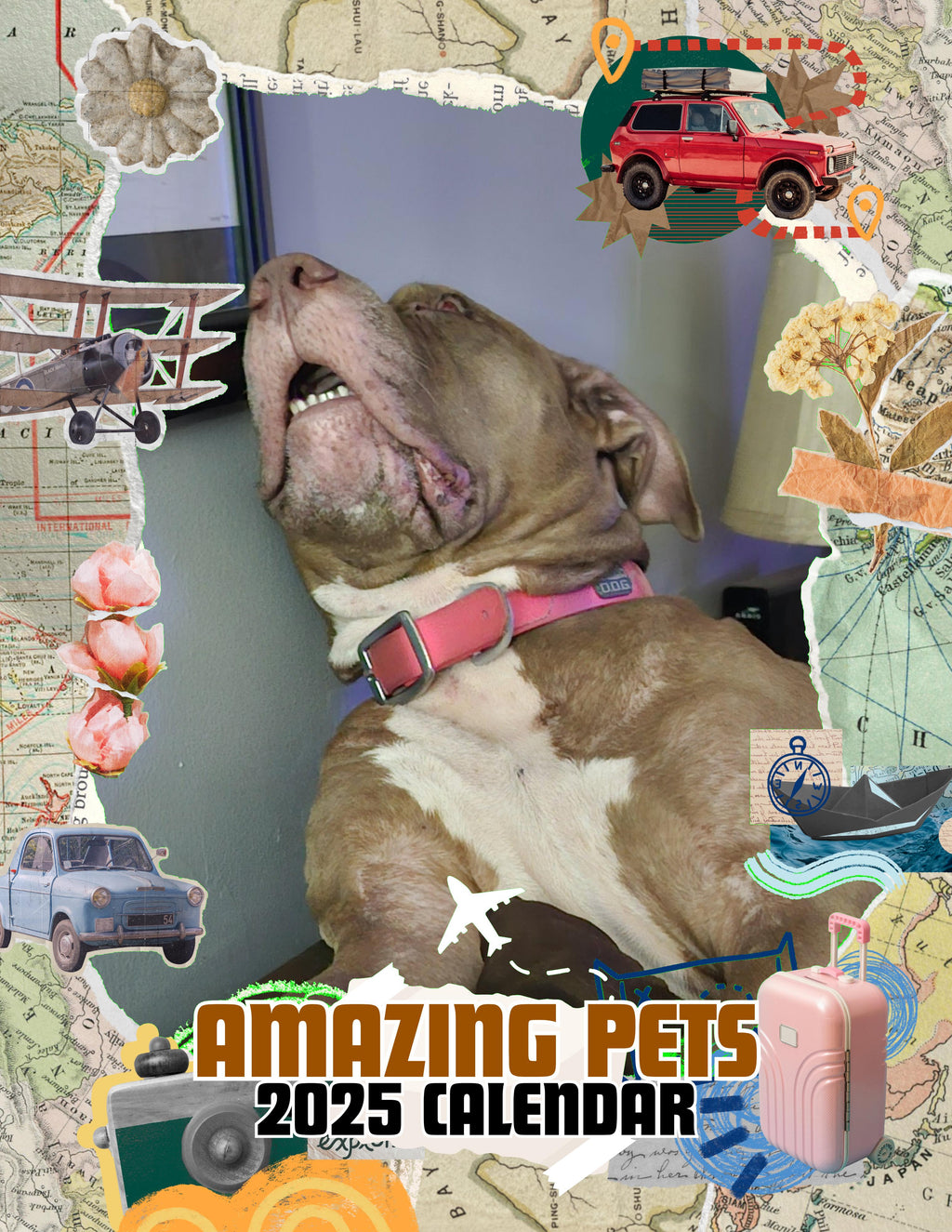 Amazing Pets: 2025 Wall Calendar (Pre-Order)